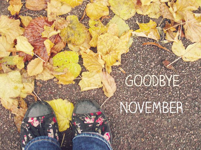 Goodbye November