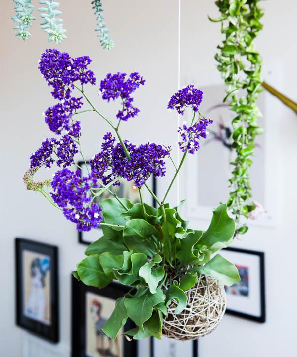 //Inspiration déco// Ambiance printanière à Melbourne Letitia-hangingplant