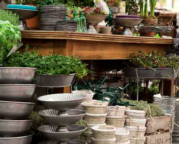 Une nouvelle semaine sur la toile