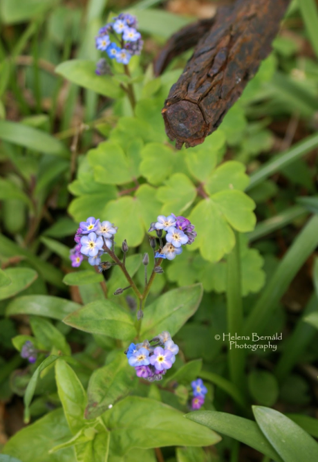 Mes découvertes de la semaine