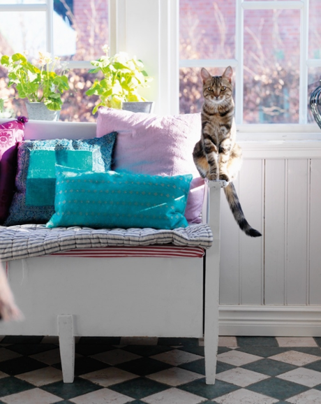 Mes découvertes de la semaine