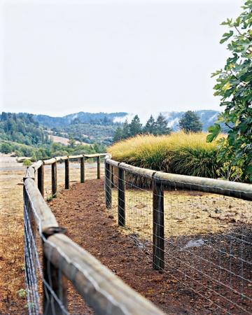 Le jardin de mes rêves