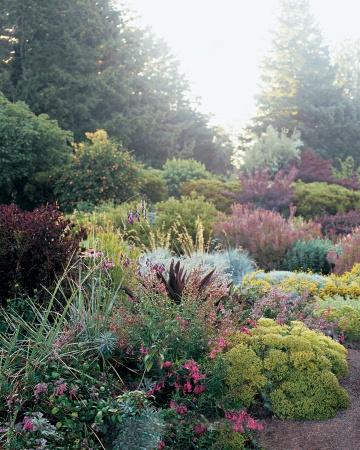 Le jardin de mes rêves