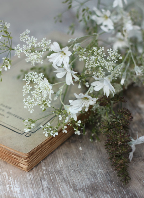 Quelle belle semaine !