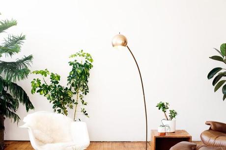 www.decocrush.fr | Conseils déco : Quelles plantes pour...mon salon ?