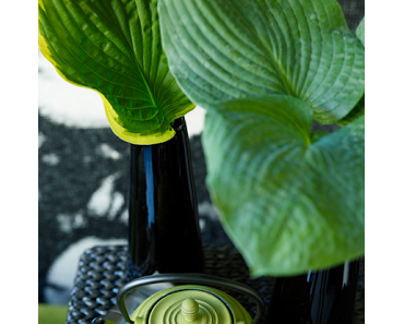 Vert, bleu..ou les deux