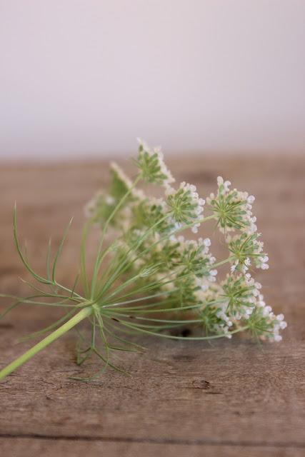 Mes inspirations de la semaine