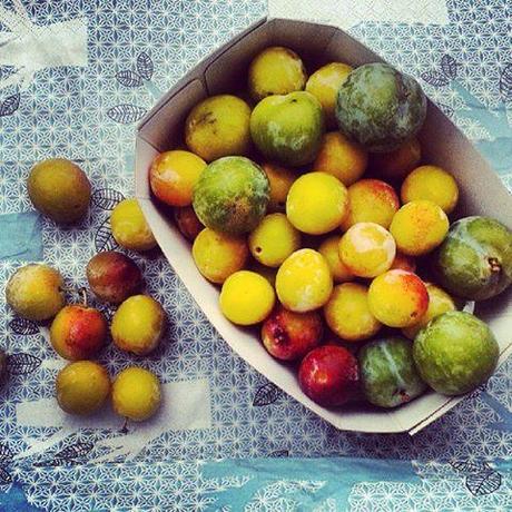 Mon clafoutis aux mirabelles