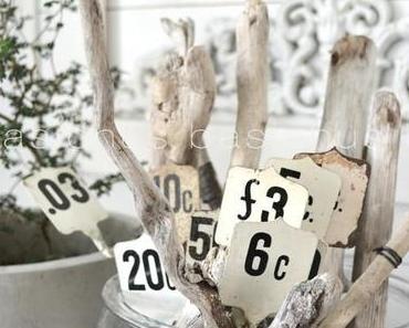 Une semaine riche en découvertes