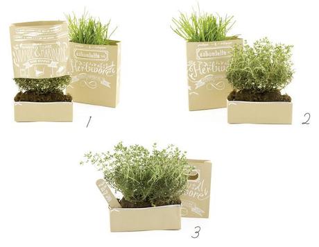 Sachets pour herbes aromatiques