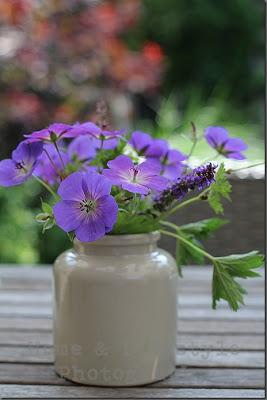 Mon inspiration de la semaine