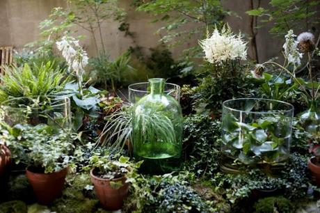 Amsterdam : Sla, bar à salades