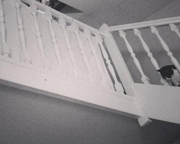 Automne : la liste des envies.