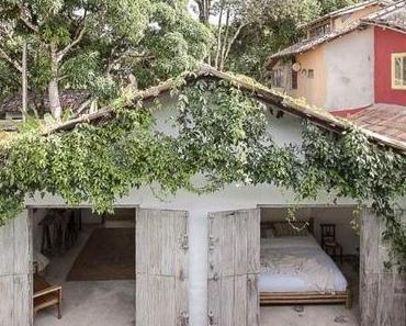 Je veux aller là ... au Brésil