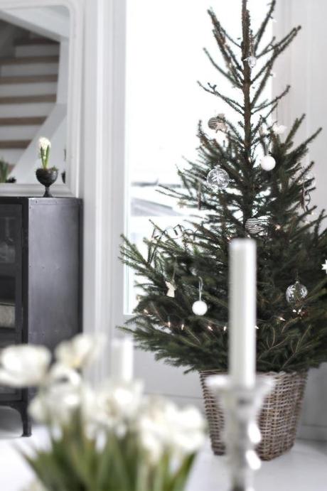 25 sapins de Noël joliment décorés pour s'inspirer ! www.decocrush.fr