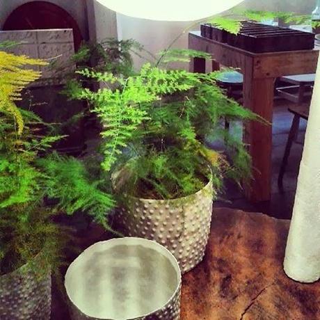 Photos Atelier rue verte