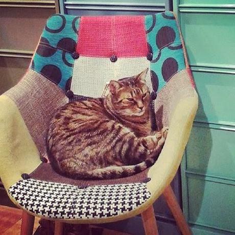 Photos Atelier rue verte