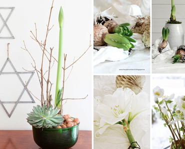 Winter flowers moodboards