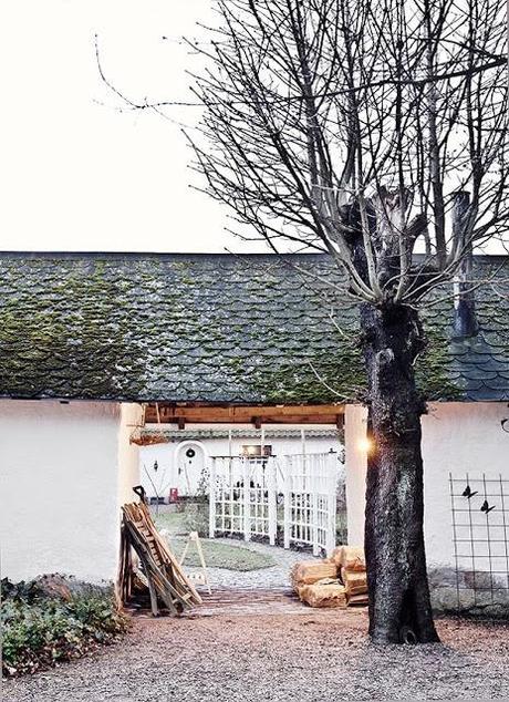 Une photographe de talent : Hannah Lemholt de Honeypielivingetc