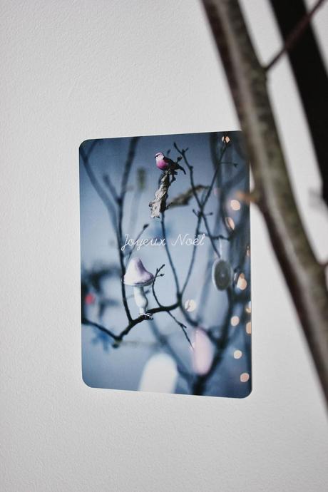 Noël Photo Atelier rue verte