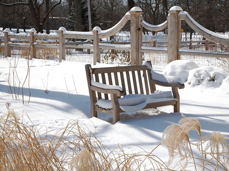 Ca vous dit un jardin aussi beau l'hiver que l'été ?