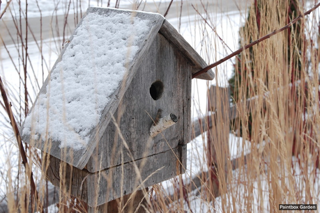 Ca vous dit un jardin aussi beau l'hiver que l'été ?