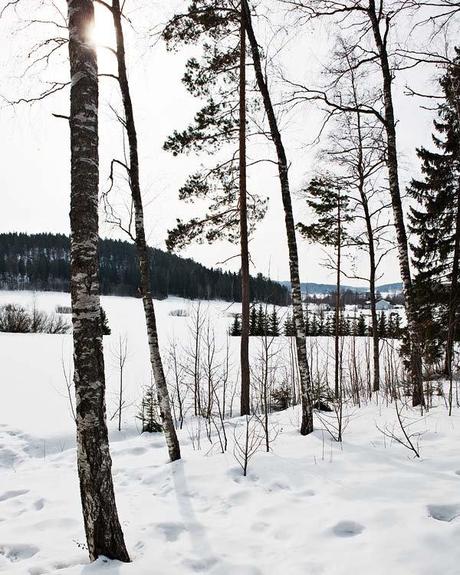 Visite déco : Une cabane au confort moderne dans la forêt