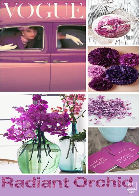 vogue radiant orchid