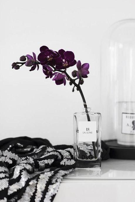 fleur dans la deco