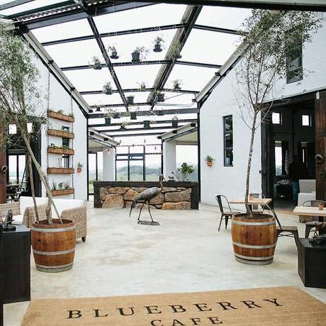 Afrique du sud / Blueberry café /