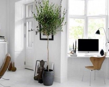 Les 10 commandements du FENG SHUI