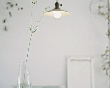 Esprit nature : Une fleur suffit