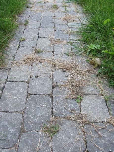 Un truc éco pour se débarasser facilement et définitivement des mauvaises herbes