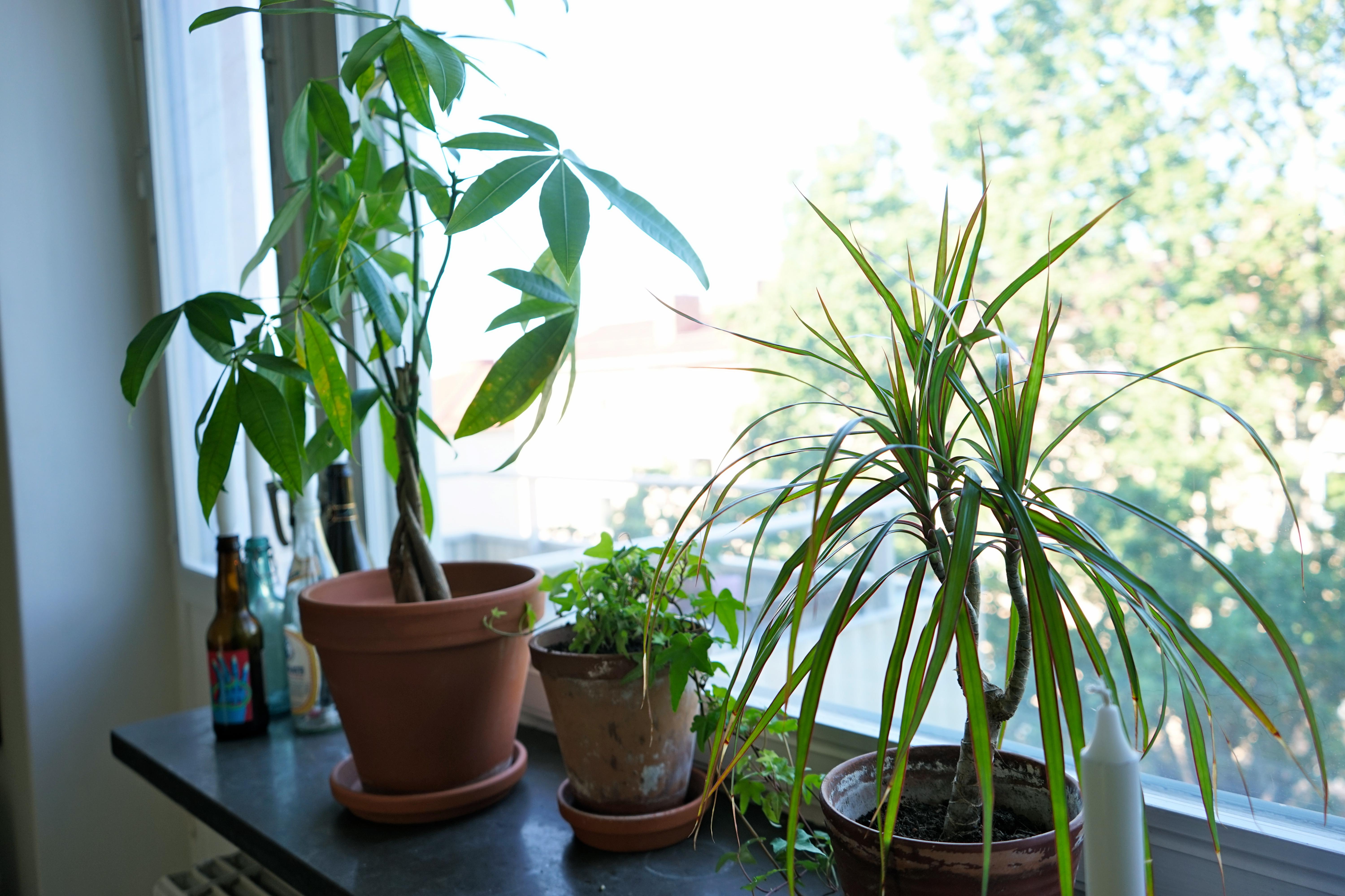 DECOuvrirdesign_mon_appartement_design__stockholm