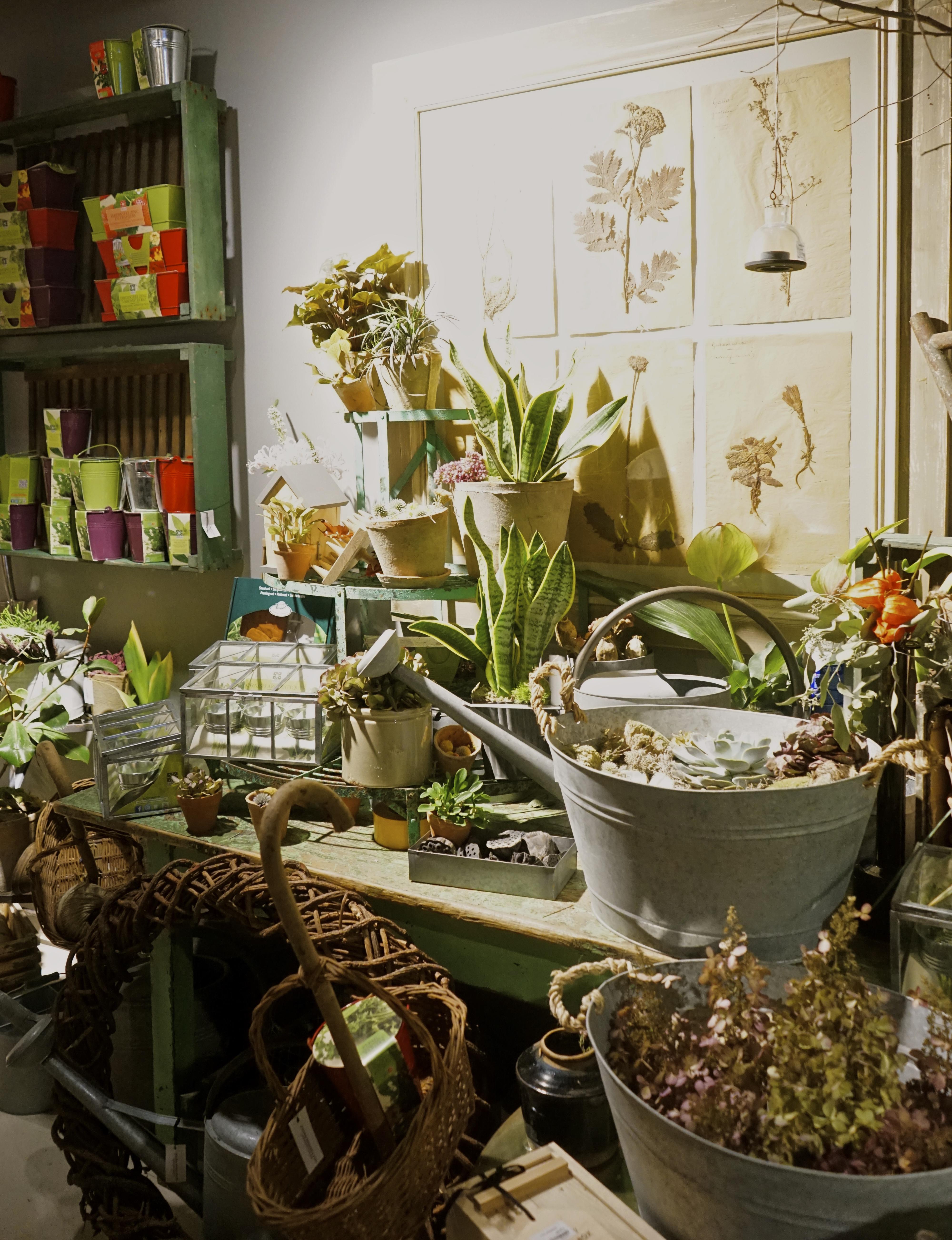 Concept_store_Jaime_Beriestain_blog_decouvrir_design