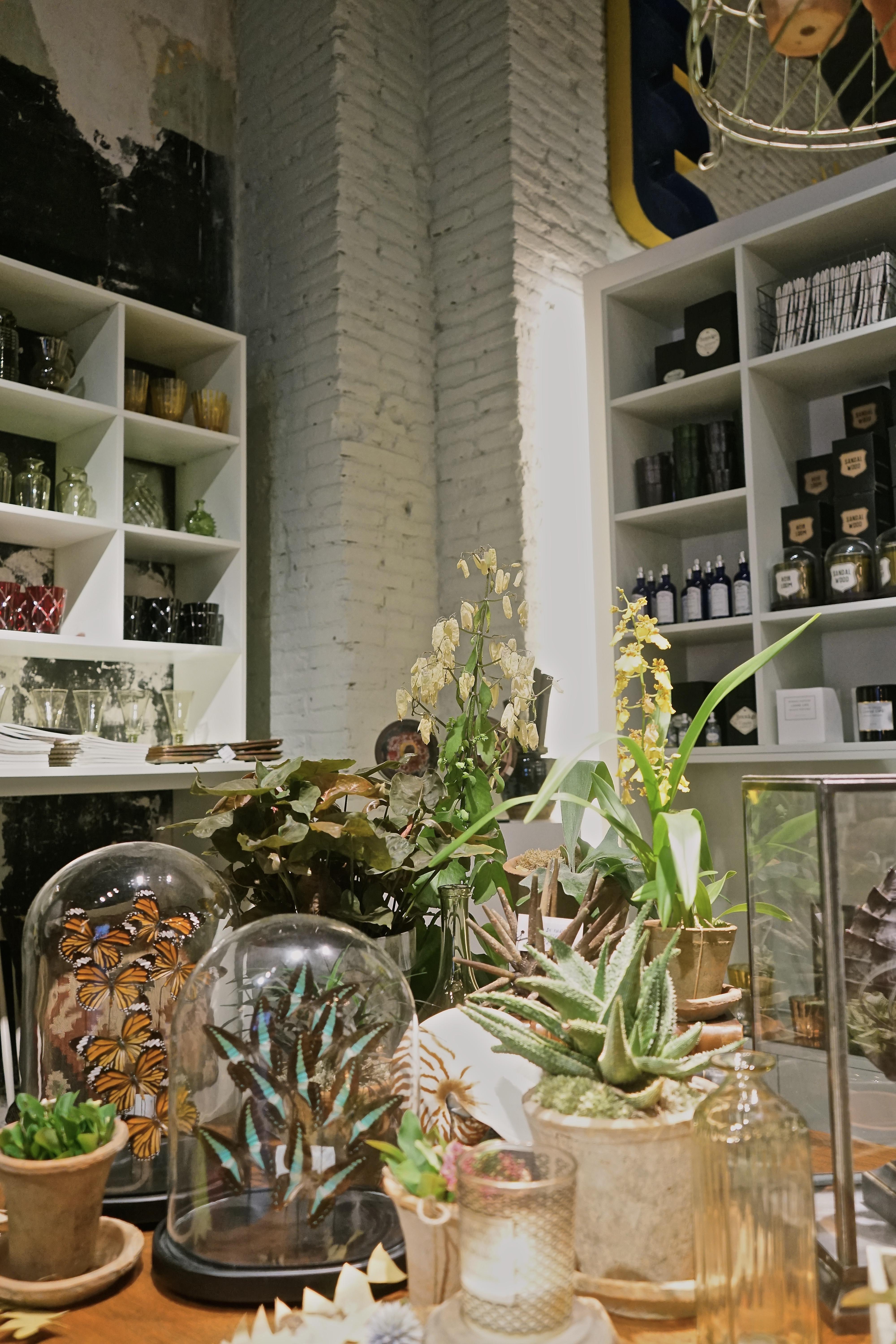 Concept_store_Jaime_Beriestain_blog_decouvrir_design