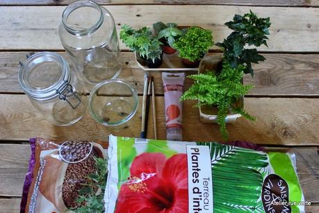 DIY / Mini-jardins/ Photos Atelier rue verte /