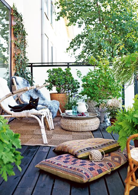 2_plantes_balcon_elephantintheroom