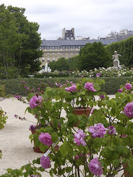 Le printemps à Paris