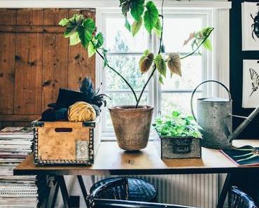 Suède / La maison d'une fleuriste /