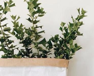 Des cache-pots alternatifs à prix tout doux