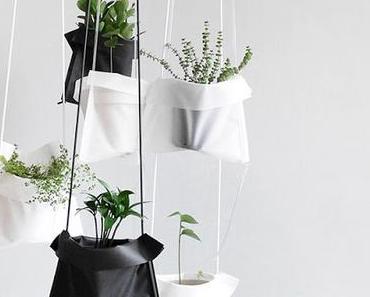 Corée du Sud / Berceau pour plantes /