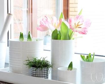 DIY : Vases, Caches Pots et Décoration