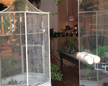 Mes adresses parisiennes#2 : Les Mauvaises Graines