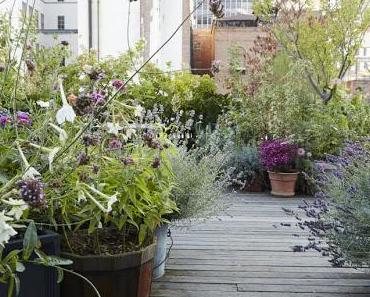 Un jardin sur le toit à NYC