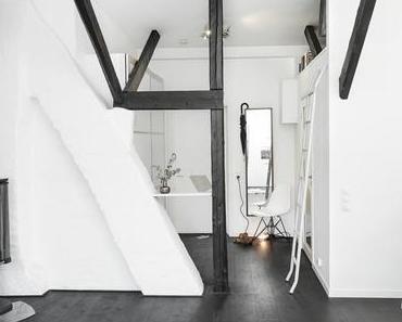 Un appartement sous les toits