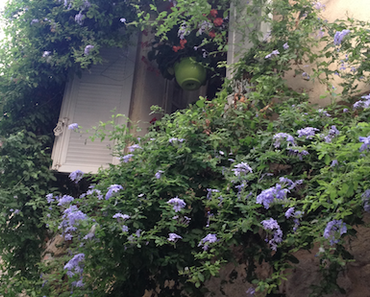 Je vous emmène flâner dans le Sud