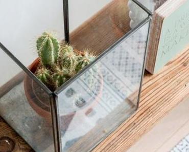 Le cactus : la tendance qui ne manque pas de piquant !
