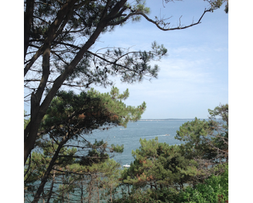 Mes adresses dans le pays Bordelais #1