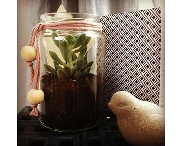 Un bocal, des beauxcaux